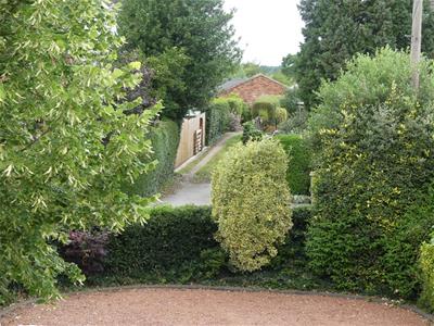 Picture 40